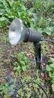Tuinspots op spies